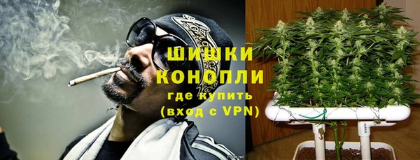 бошки Аркадак