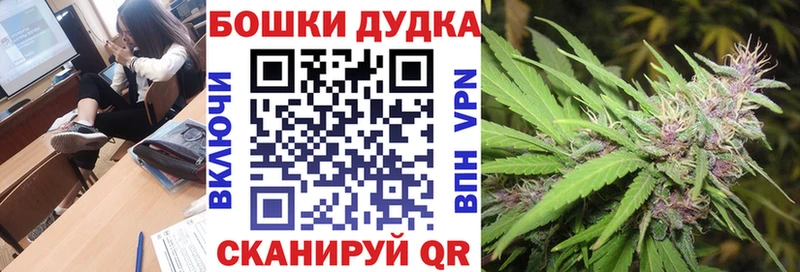 Бошки Шишки Amnesia  Урюпинск 